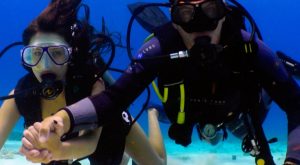 Scuba Diving Tour Recently Added Experiences