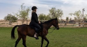 Sunset Horse Riding at Al Marmoom Oasis with a 6-Course Bedouin Dinner Outdoor Attractions