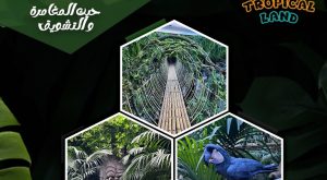 Tropical Land Museums