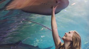 Dubai Aquarium & Underwater Zoo - Ray Encounter Experiences