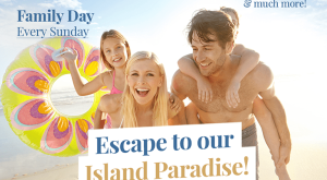 Escape to Our Island Paradise! - Al Maya island & Resort Pool Party Festival