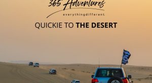 QUICKIE TO THE DESERT Outdoor Attractions