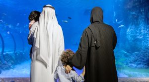 The National Aquarium Abu Dhabi Experiences