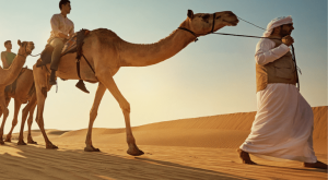 Camel Trekking Experience In Abu Dhabi With Transfers In Land Cruiser  Abu dhabi