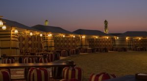 Evening Luxury Heritage Safari at Al Marmoom Bedouin Experience  Al Qudra