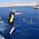 Half-day Snorkeling Boat trip with lunch and drinks from Sharm El Sheikh  Sharm El Sheikh