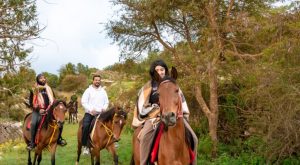 Horse Riding Experience  365 Adventures Center at Nourban Resort