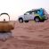 Sunrise and Wildlife Experience in the Desert  Dubai