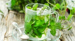 Unlock The Secrets Of Herbs With Master Herbalist Course Alpha Academy National Deal UAE