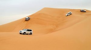 Desert Safari