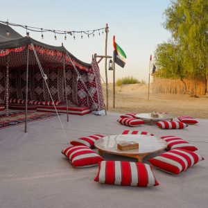 Evening Luxury Heritage Safari at Al Marmoom Bedouin Experience Desert safaris