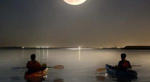 Full moon kayak tour at louvre Abu Dhabi Water Sports