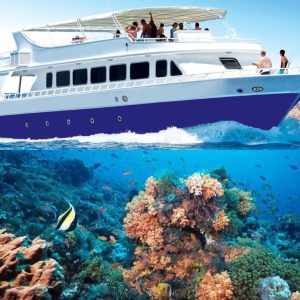Half-day Snorkeling Boat trip with lunch and drinks from Sharm El Sheikh Sightseeing and Tours