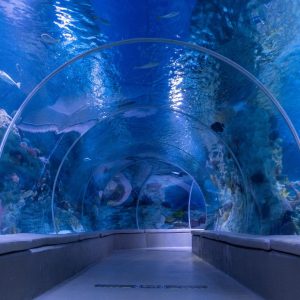 Istanbul Aquarium + Sky View + Sky Walk - Combo Recently Added Experiences