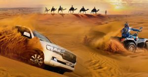 Vip Half-day Desert Safari With Liwa Adventure Tours And Safari Liwa Adventure Tours & Safari LLC Abu Dhabi UAE