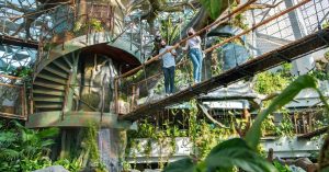 Child Or Adult Pass: Green Planet Day Or Optional Ain Dubai Adult Pass MOKSH TRAVEL AGENCY Dubai UAE