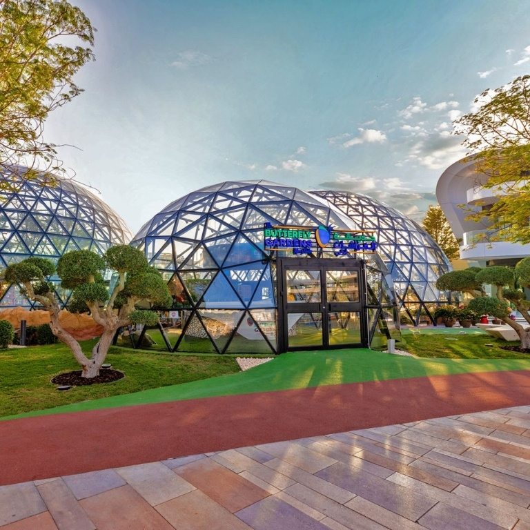 The Butterfly Garden Experiences