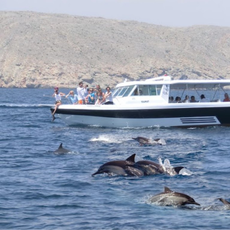 Bandar Rowdha Marina Dolphin Tour Recently Added Experiences