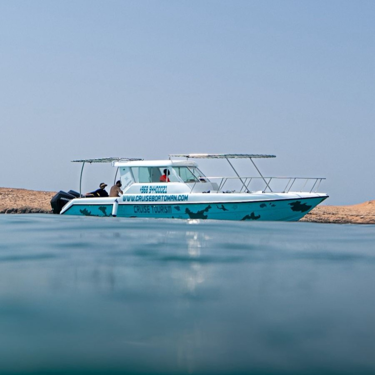 Daymaniyat Island Private Trip Recently Added Experiences
