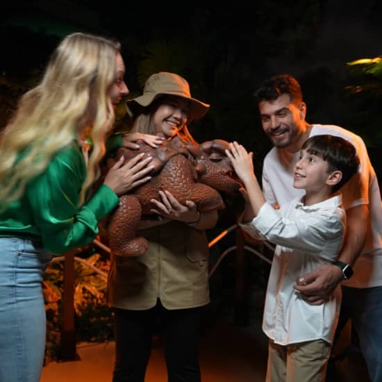 Dinosaurs: The Immersive Odyssey - Gift Card at Secret Location  Dubai Atlantis Lost Chamber Aquarium