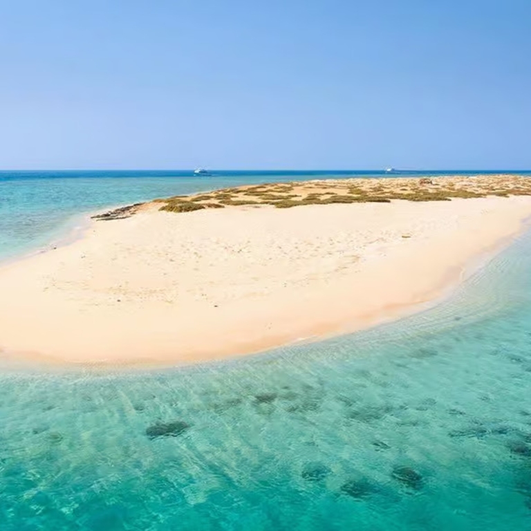 From Sharm: White Island and Ras Mohamed Snorkeling Trip Recently Added Experiences
