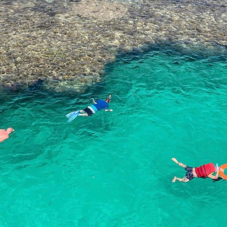 Luxury Ras Mohammed & White Island Cruise in Sharm El-Sheikh Recently Added Experiences