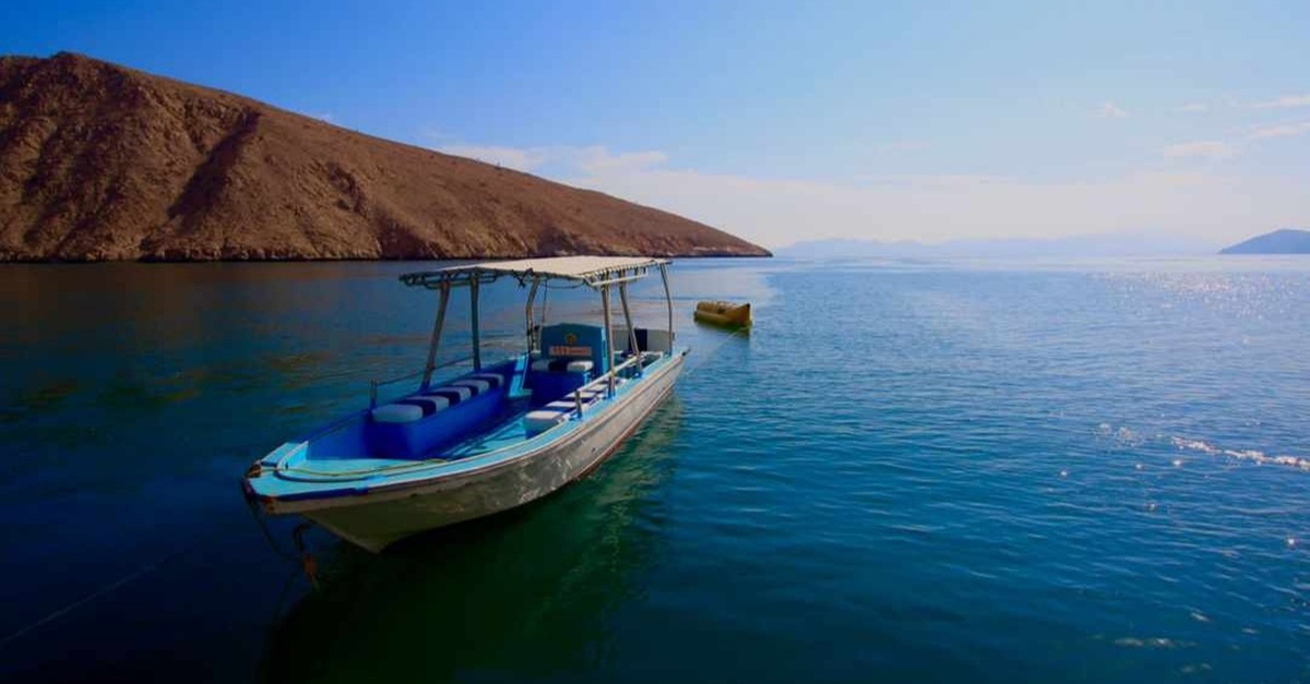 Oman Musandam Dhow Cruise: Water Sports & Buffet Lunch Marhaba Global Tourism Dubai UAE