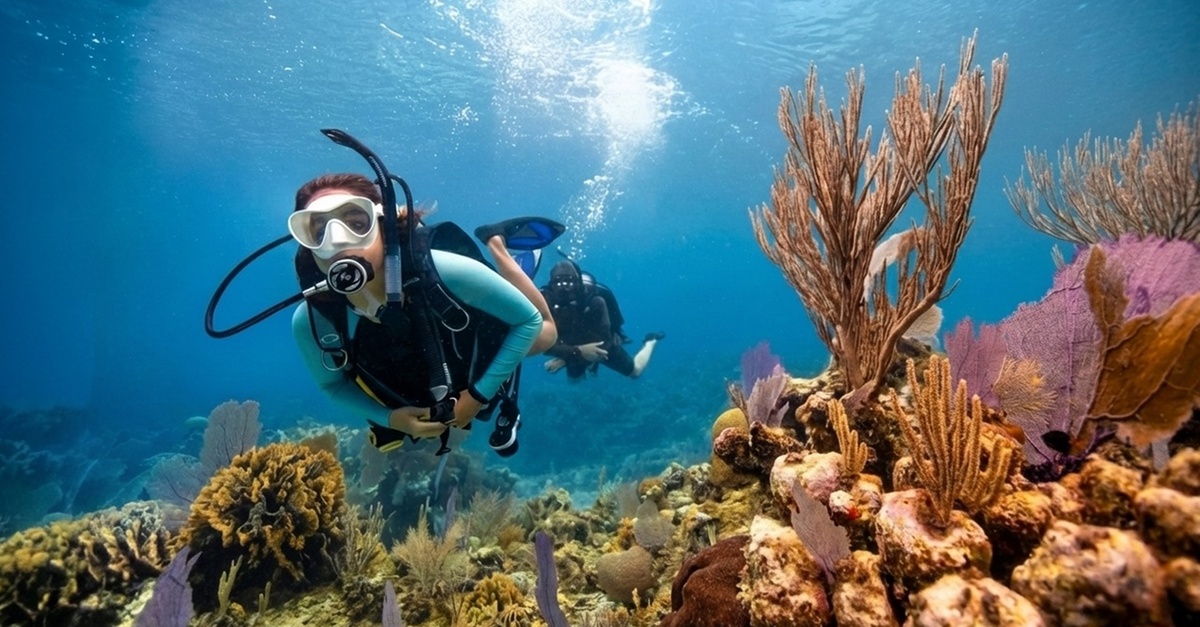 Shore Dive To Snoopy Islands Thriving Reef In Fujairah Marine Park Sandy Beach Dive Academy Sharjah & N. Emirates UAE