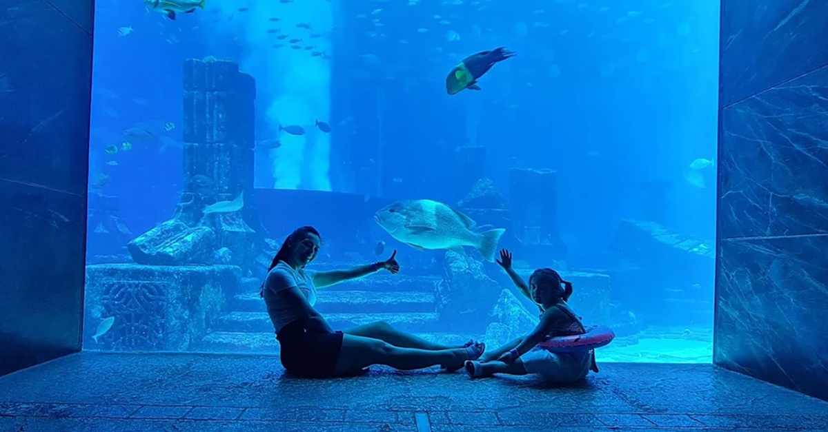 Explore The Lost World Aquarium – Entry For Kids
