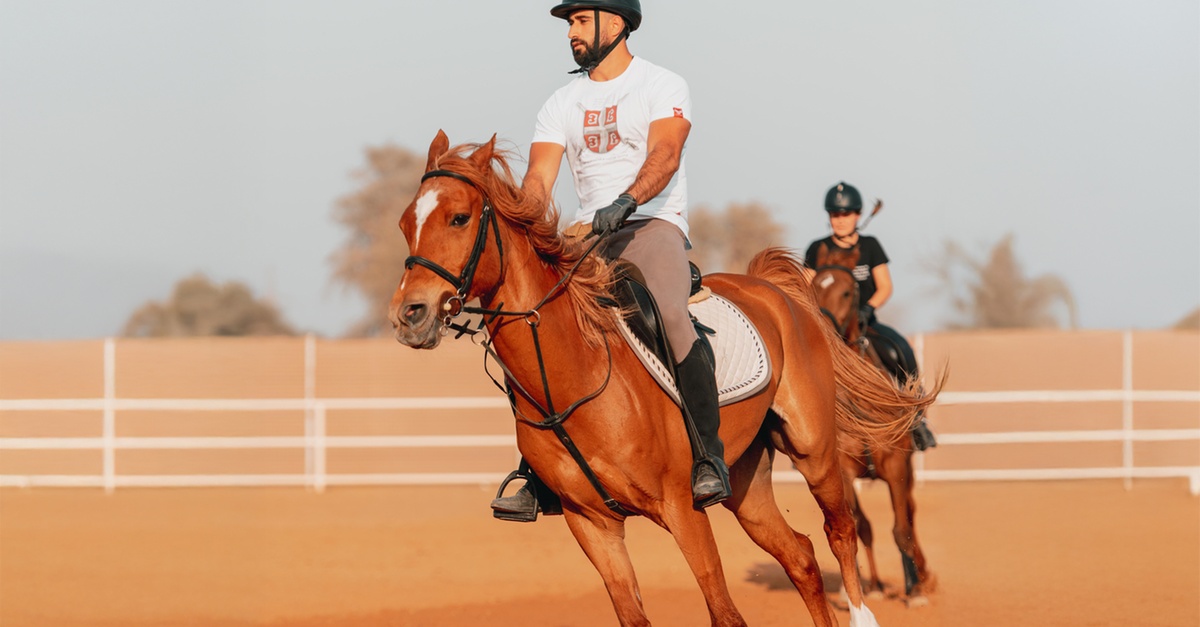 Horse Riding Tours Arena Rides Pony Rides And Training Sessions Mleiha National Park Sharjah & N. Emirates UAE