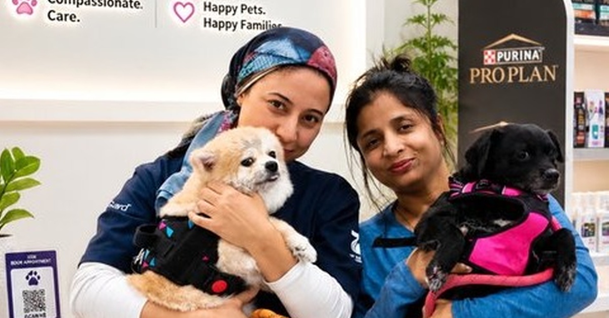 Professional Pet Styling And Comprehensive Hygiene Sessions Seventh Sense Veterinary Clinic Sharjah & N. Emirates UAE